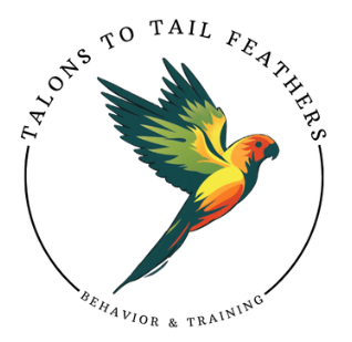TalonsToTailFeathers Logo